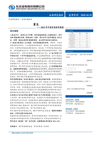2021年中国宏观经济展望：重生.pdf