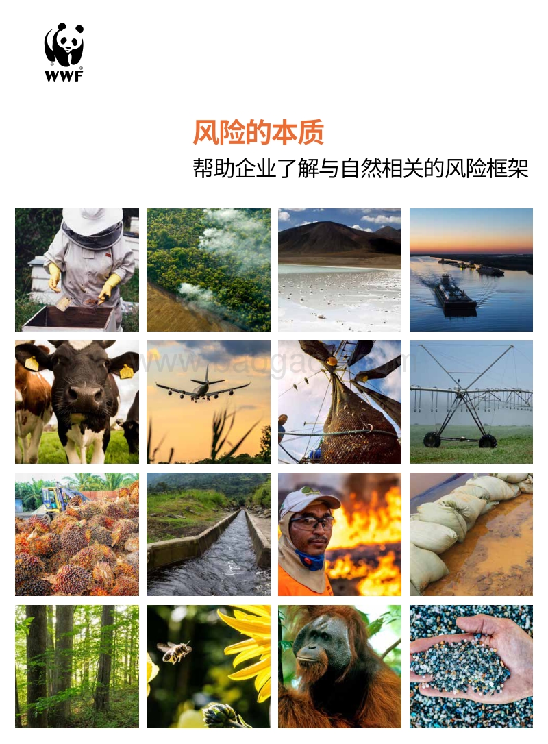 风险的本质：帮助企业了解与自然相关的风险框架.pdf_第1页