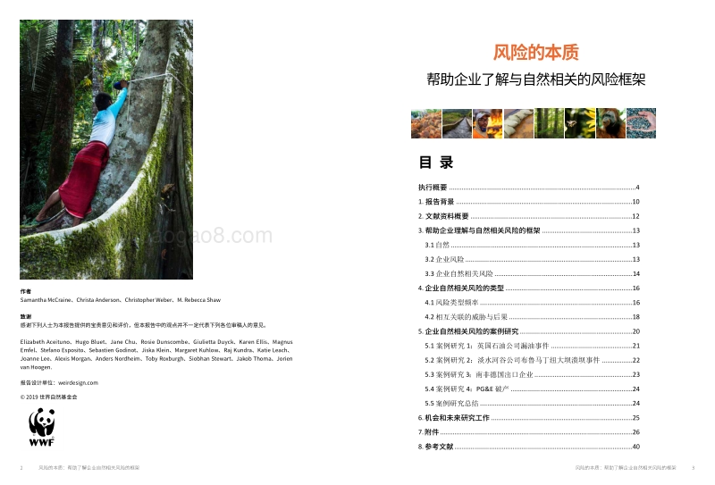 风险的本质：帮助企业了解与自然相关的风险框架.pdf_第2页