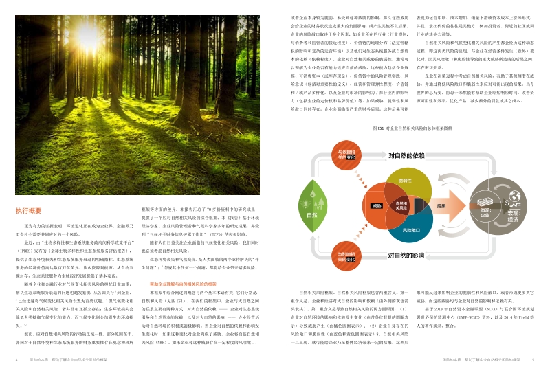 风险的本质：帮助企业了解与自然相关的风险框架.pdf_第3页