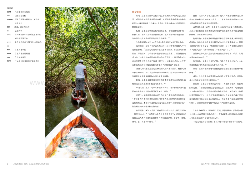 风险的本质：帮助企业了解与自然相关的风险框架.pdf_第5页