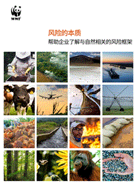 风险的本质：帮助企业了解与自然相关的风险框架.pdf
