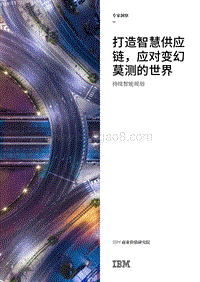 打造智慧供应链，应对变幻莫测的世界：持续智能规划.pdf