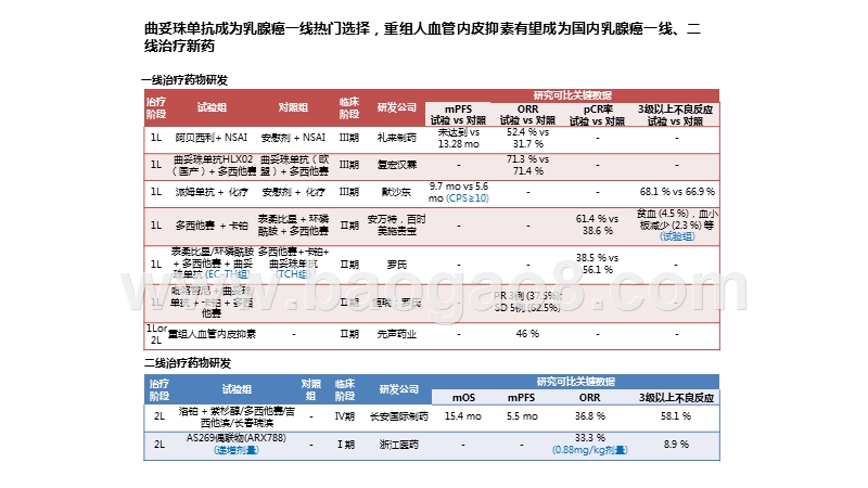 2020-2021全球乳腺癌药物研发分析报告.pptx_第5页