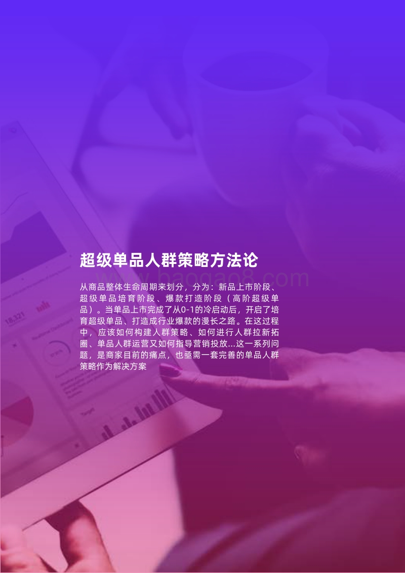 双11投资指南：超级单品人群策略洞察.pdf_第4页