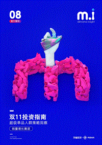 双11投资指南：超级单品人群策略洞察.pdf