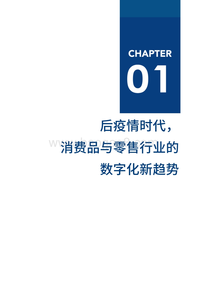 2020消费品与零售数字化厂商全景报告.pdf_第5页