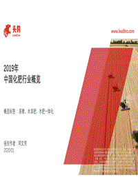 2019年中国化肥行业概览.pdf