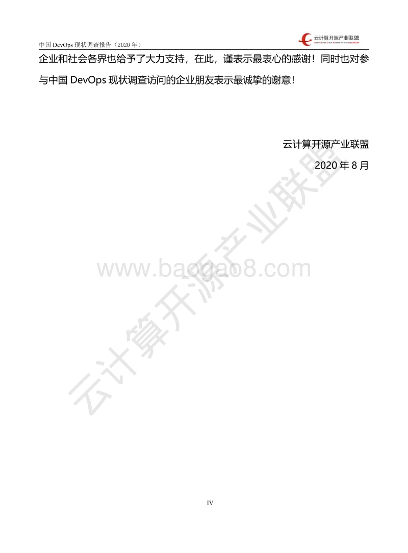 2020年中国DevOps现状调查报告.pdf_第5页