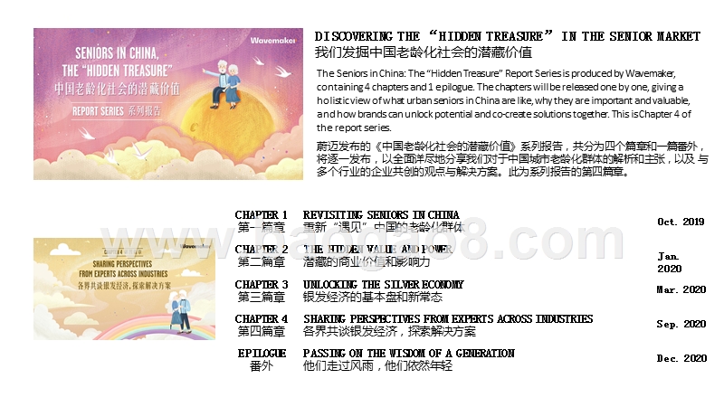 2020-2021中国老龄化社会的潜藏价值研究报告.pptx_第2页
