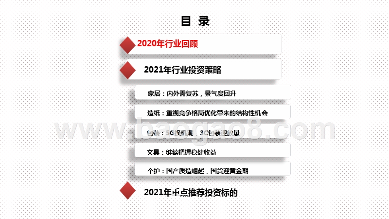 2021年轻工行业投资前景研究报告.pptx_第2页