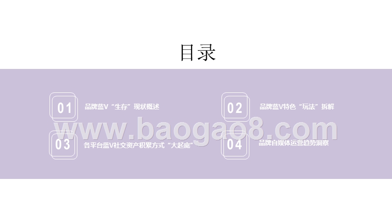 2020-2021短视频直播平台品牌蓝V“成长”指南报告.pptx_第2页