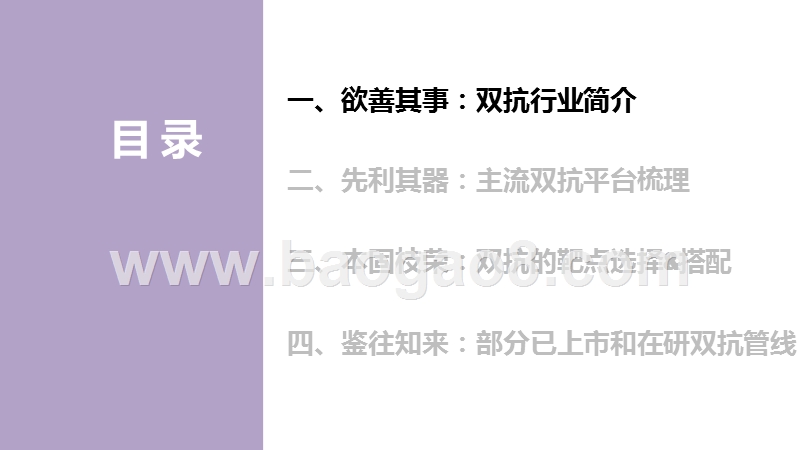 2020-2021双特异性抗体行业研究报告.pptx_第2页