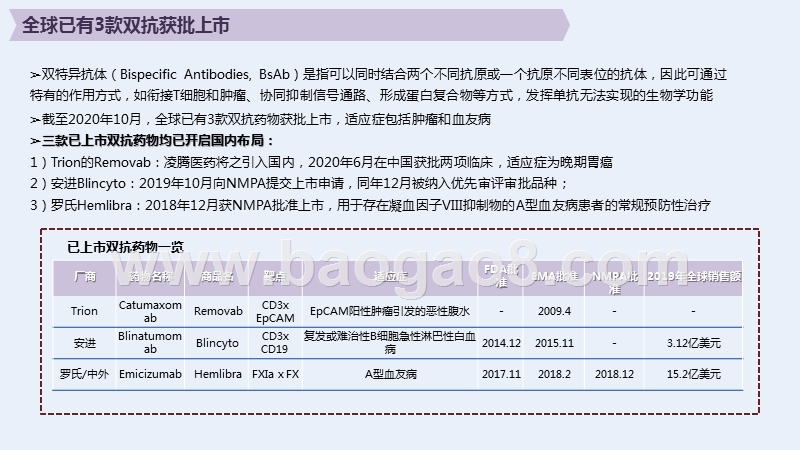 2020-2021双特异性抗体行业研究报告.pptx_第3页