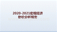 2020-2021宏观经济物价分析报告.pptx