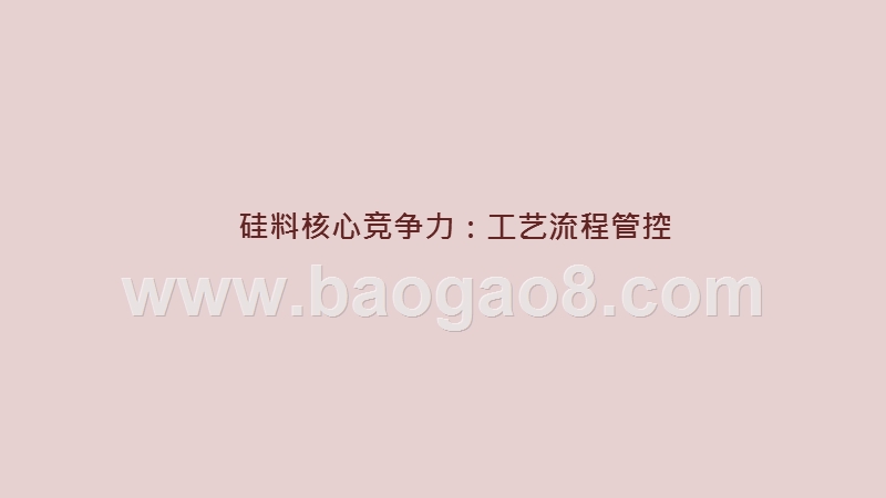 2020-2021硅料核心竞争力和价格洞察报告.pptx_第3页
