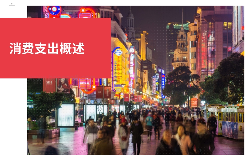 2020中国消费者.pdf_第5页