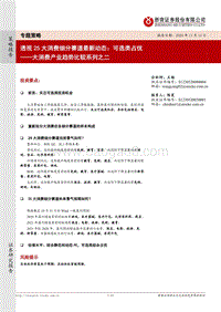 大消费产业趋势比较系列之二：透视25大消费细分赛道最新动态：可选类占优.pdf
