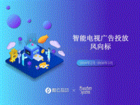 2020年2月-2020年3月智能电视广告投放风向标.pdf