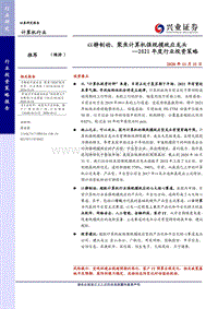 计算机行业2021年度行业投资策略：以静制动，聚焦计算机强规模效应龙头.pdf