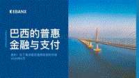 巴西的普惠金融与支付.pdf