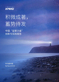 中国“监管沙盒”创新与实践报告：积微成著，蓄势待发.pdf