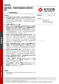 可转债专题报告：临近年底，转债市场需要关注哪些变量？.pdf