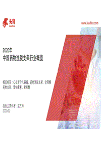 2020年中国药物洗脱支架行业概览.pdf