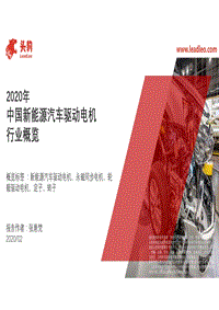 2020年中国新能源汽车驱动电机行业概览.pdf