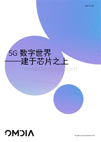 5G数字世界：建于芯片之上.pdf
