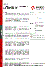 “十四五”的细节之三：迈向数字乡村2.0，困难与增量何在？.pdf