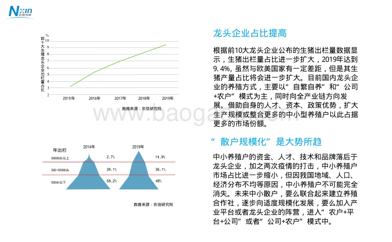 2020我国生猪行业发展趋势分析.pdf_第5页