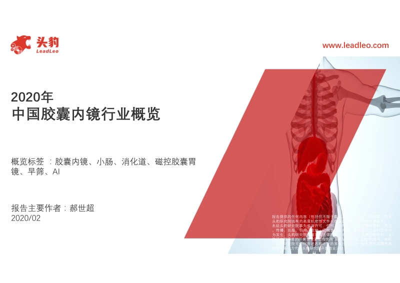 2020年中国胶囊内镜行业概览.pdf_第1页