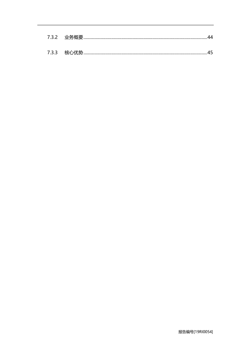 2019年中国数字营销行业市场研究.pdf_第4页