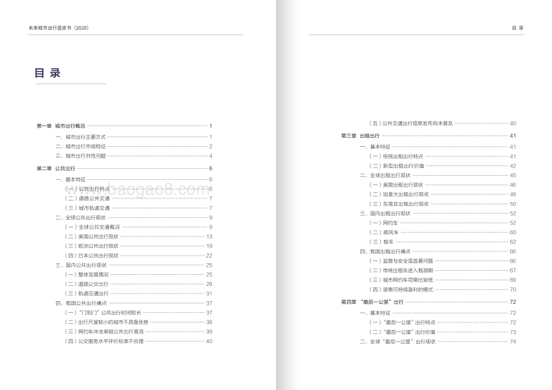 2020未来城市出行蓝皮书.pdf_第3页