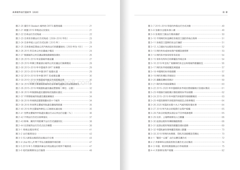 2020未来城市出行蓝皮书.pdf_第5页
