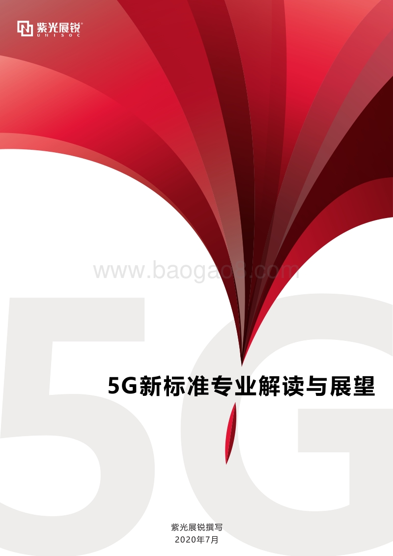 5G新标准专业解读与展望.pdf_第1页