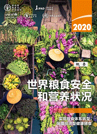 2020世界粮食安全和营养状况.pdf