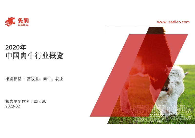 2020年中国肉牛行业概览.pdf_第1页