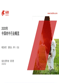 2020年中国肉牛行业概览.pdf