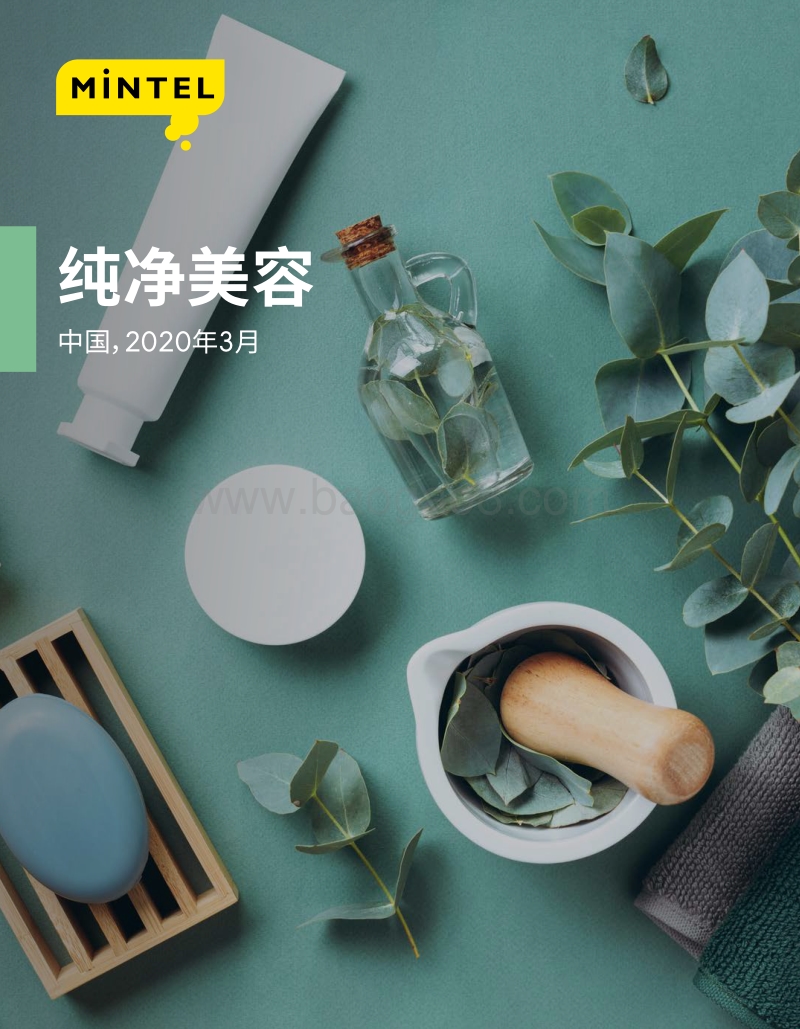 纯净美容.pdf_第1页