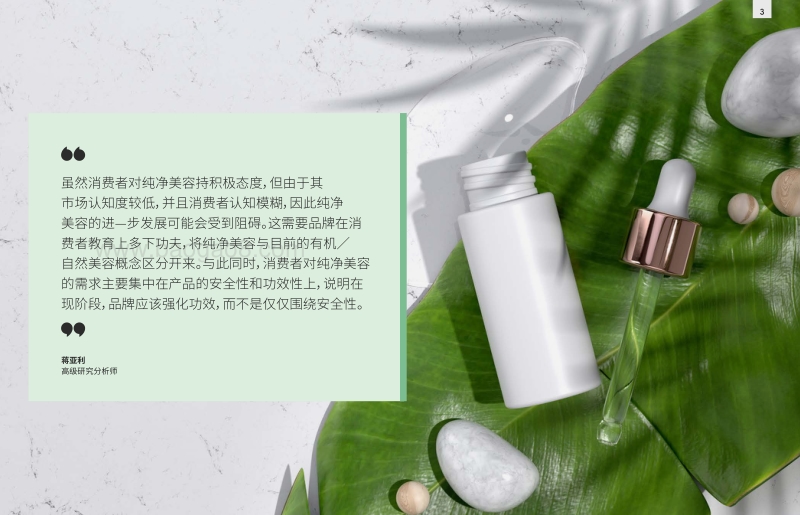 纯净美容.pdf_第2页