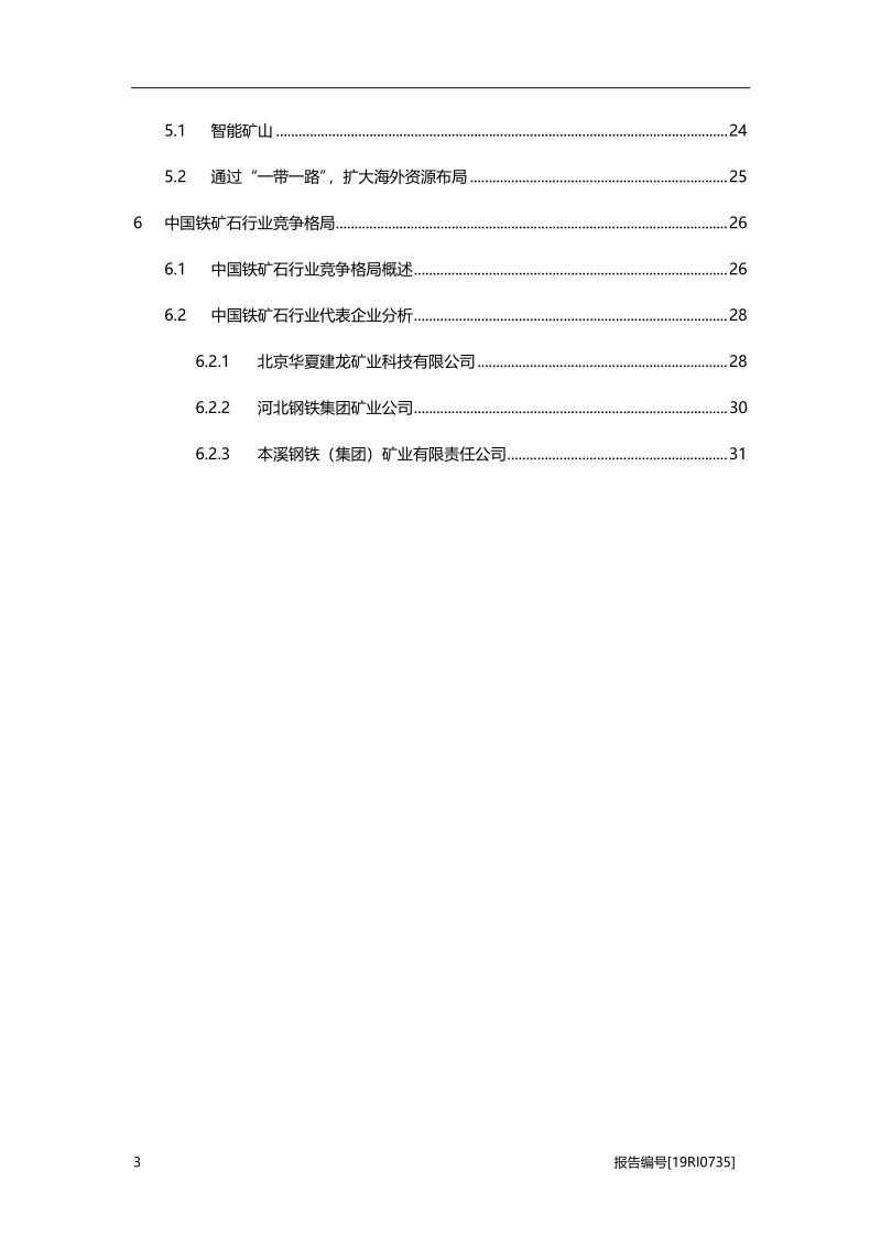 2019年中国铁矿石行业概览.pdf_第3页