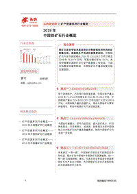 2019年中国铁矿石行业概览.pdf