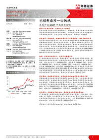医药行业2021年度投资策略：以创新应对一切挑战.pdf