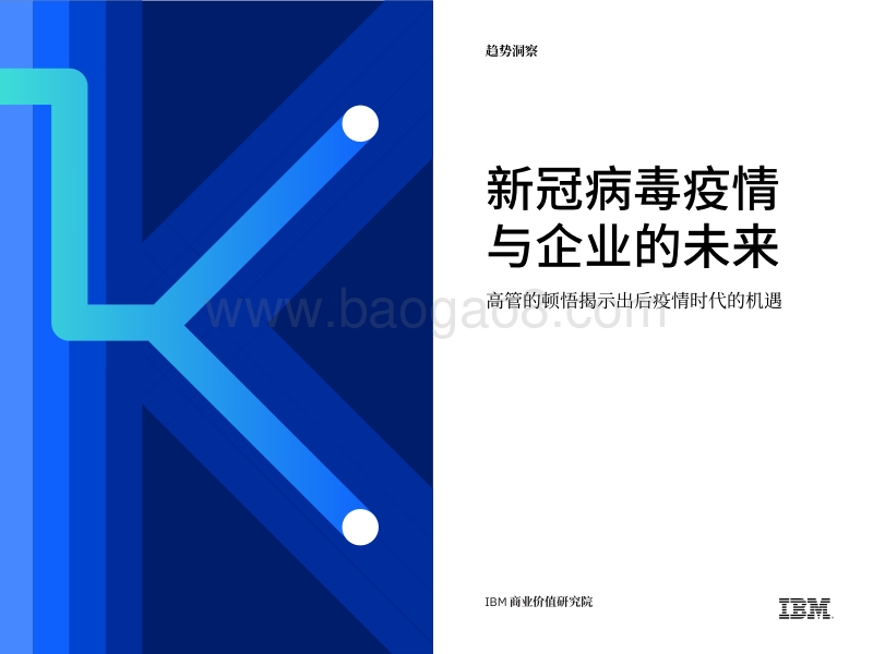 新冠病毒疫情与企业的未来：高管的顿悟揭示出后疫情时代的机遇.pdf_第1页