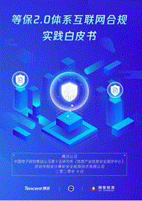 等保2.0体系互联网合规实践白皮书.pdf