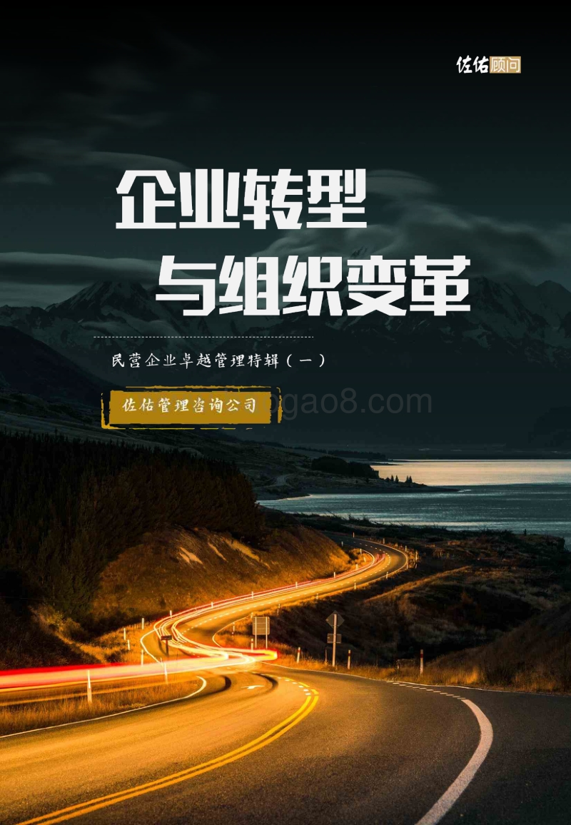 民营企业卓越管理特辑（一）：企业转型与组织变革.pdf_第1页