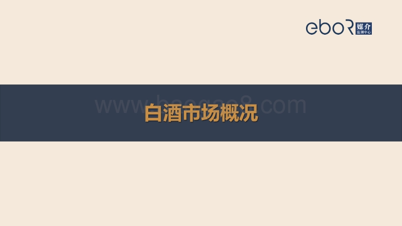 2018年度白酒行业西南区域户外广告投放报告.pdf_第2页