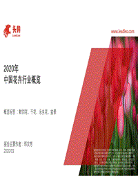 2020年中国花卉行业概览.pdf